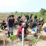 Polda Sultra Bersama Insan Pers Tanam 1.000 Bibit Mangrove di Teluk Kendari