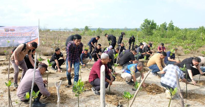 Polda Sultra Bersama Insan Pers Tanam 1.000 Bibit Mangrove di Teluk Kendari