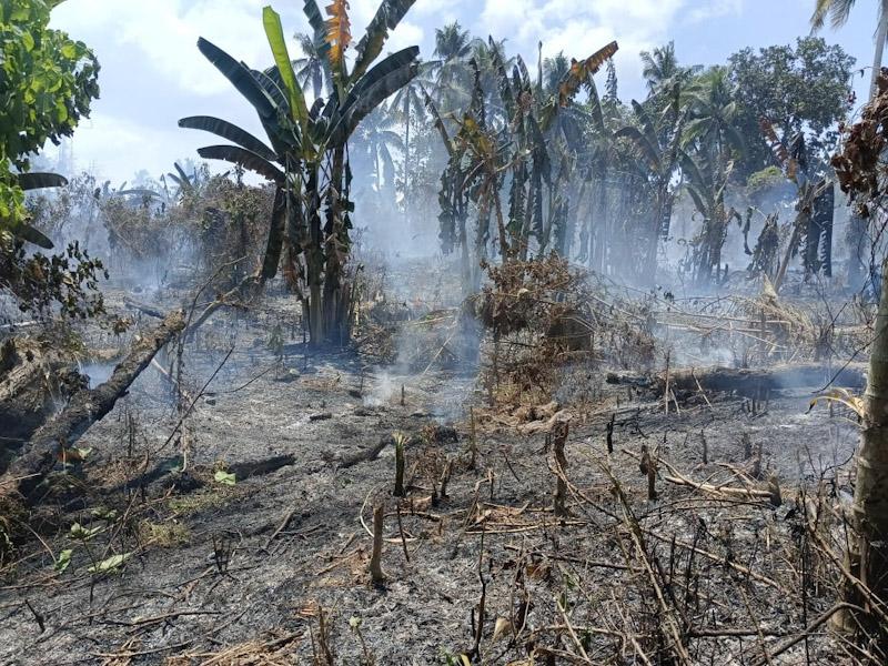 Pemukiman Rumah Warga di Mandonga Nyaris Terbakar Akibat Lahan Kosong Dilahap Api