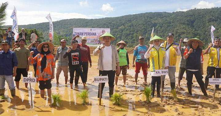 Tanam Perdana Padi Sawah, Bupati Koltim Abd Azis Wujudkan Mimpi Warga Tongauna