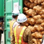 Perdana, Sultra Ekspor 646 Ton Kelapa Bulat Sultra Ke China