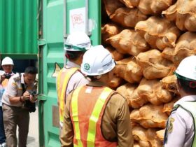 Perdana, Sultra Ekspor 646 Ton Kelapa Bulat Sultra Ke China