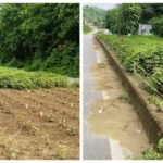 Warga Puuwatu Kendari Manfaatkan Trotoar Jalan Tanami Nilam