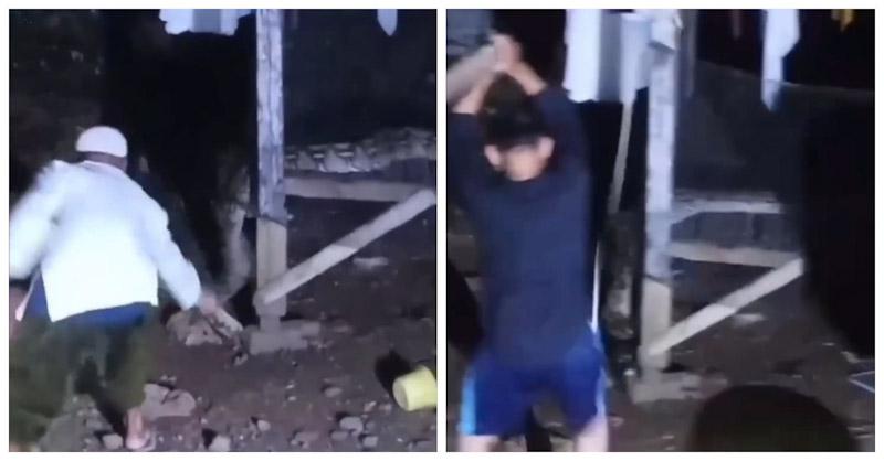 Geger! Ular Piton Berukuran Besar Menyelinap Masuk Didapur Warga