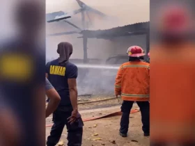 Bangsal Kayu Hingga Mobil Milik Warga Hangus Terbakar