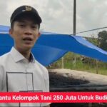 Program KONASARA Sejahterakan Petani Bawah Di Konut Panen Hingga 200 Juta Sampai Beli Mobil