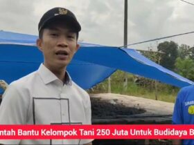 Program KONASARA Sejahterakan Petani Bawah Di Konut Panen Hingga 200 Juta Sampai Beli Mobil