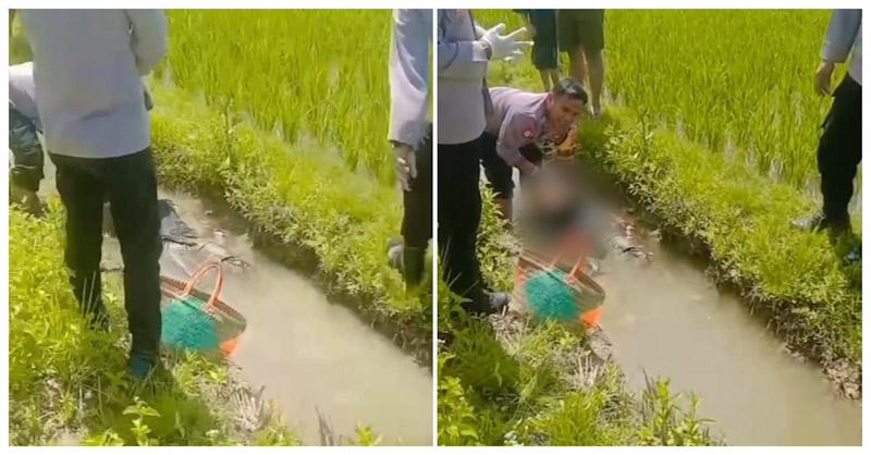 Geger, Mayat Wanita Paruh Baya Ditemukan Diselokan Persawahan di Konsel