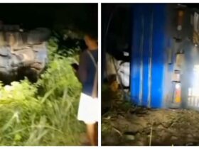 Truk Bermuatan Gabah Terguling di Penurunan Lapuse, Warga Berusaha Menolong