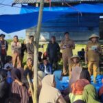 Dukung Program Presiden RI, Bupati Mubar Programkan Bibit Padi Gratis Untuk Petani Sawah