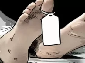 Pejalan Kaki Tewas Ditabrak Dump Truk di Konawe Saat Menyebrang Jalan