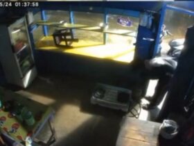 Aksi Bobol Warung di Kendari Terekam Kamera, Pelaku Gasak Kompor hingga Tabung Elpiji