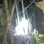 Warga Morosi Geger! Pria Ditemukan Tewas Gantung Diri di Kebun Warga