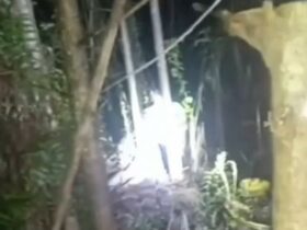 Warga Morosi Geger! Pria Ditemukan Tewas Gantung Diri di Kebun Warga