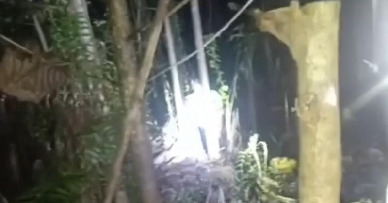 Warga Morosi Geger! Pria Ditemukan Tewas Gantung Diri di Kebun Warga