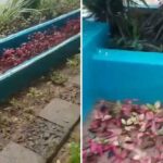 Lampu Taman di Bypass Raha Raib Digondol Maling, Warga Geram: "Baru Dipasang Semalam!"