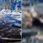 Terkunci di Rumah, Pria 21 Tahun Tewas Terpanggang dalam Kebakaran di Kolaka