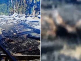 Terkunci di Rumah, Pria 21 Tahun Tewas Terpanggang dalam Kebakaran di Kolaka