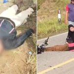 Dua Motor Adu Banteng di Konsel, Pemuda Patah Tulang dan Warga Lansia Alami Pendarahan Serius