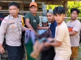 Pria di Kolut Ditebas Ipar Pakai Parang, Tangan Kiri Putus