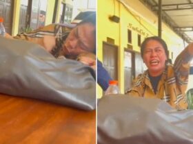 Korban Smarthajj.id Histeris di Polda Sultra, Protes Tersangka Penipu Umrah Rp4,1 Miliar Dilepas!