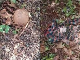 Geger! Kerangka Manusia Dan Uang Kusam Ditemukan Warga di Dalam Hutan