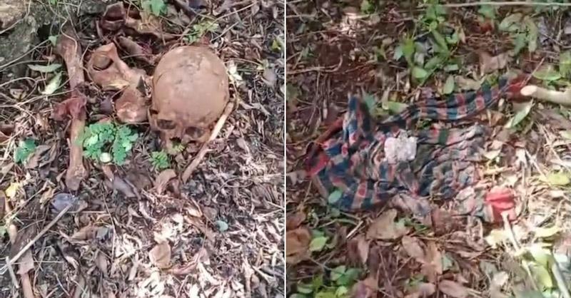 Geger! Kerangka Manusia Dan Uang Kusam Ditemukan Warga di Dalam Hutan