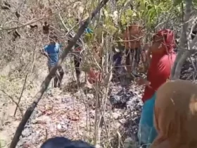 Kerangka Manusia Ditemukan di Hutan Muna, Diduga Warga yang Hilang Setahun Lalu