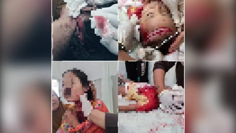 Terobosan Pariwisata Busel, Riset UHO Siapkan Rekomendasi Penguat PAD