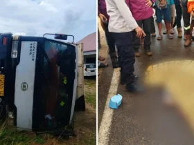 Tragedi di Tanjakan Palewai Konawe, Pelajar Pengendara CRF Tewas Usai Adu Banteng dengan Truk 10 Roda