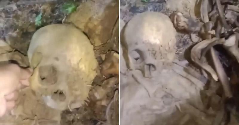 ‎Penemuan Tengkorak di Hutan Amamotu Hebohkan Warga Kolaka