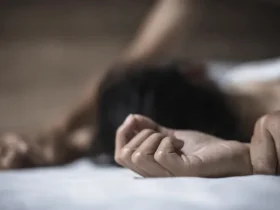 Nelayan di Konawe Kepulauan Tega Rudapaksa Adik Ipar di Tengah Hutan