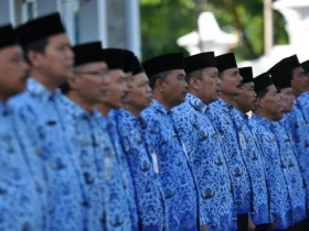 Guru PAI se-Sultra Keluhkan Gaji PPG Sudah Nunggak 3 Bulan, Kemenag Dinilai Lamban ASN pppk p3k CPNS PNS