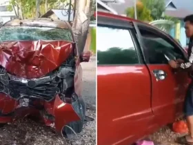 Ringsek Parah! Avanza Merah Hantam Pohon di Depan Kantor PUPR Baubau