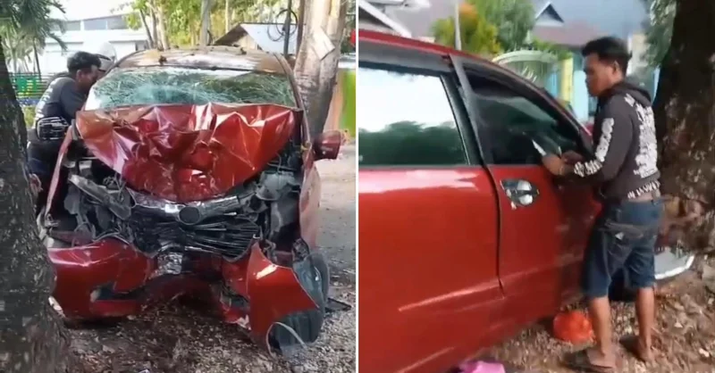Ringsek Parah! Avanza Merah Hantam Pohon di Depan Kantor PUPR Baubau